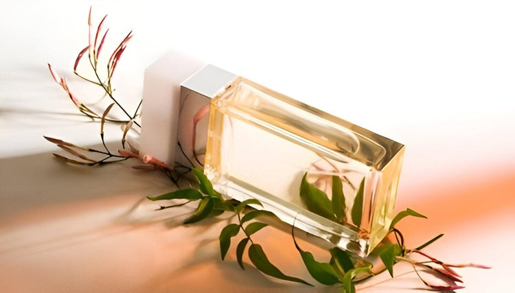 How to Choose Perfect Perfume Bottles for Your New Fragrance Line ...